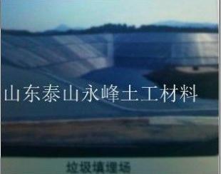 供应湖北武汉民间第一HDPE土工膜生产厂家报价电话_建筑建材_世界工厂网中国产品信息库